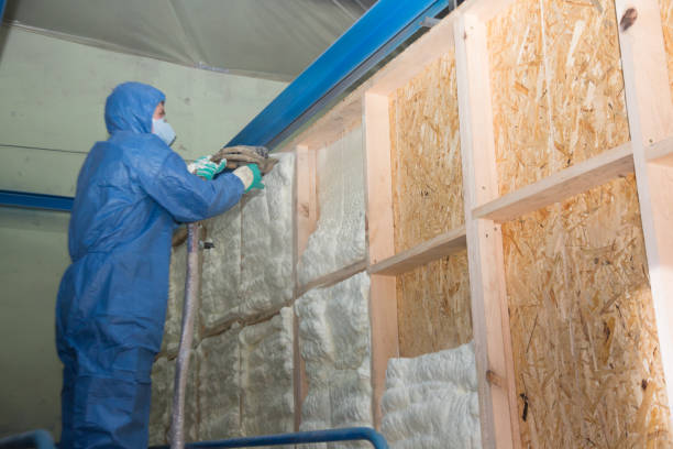 Best Best Insulation Companies  in Hubbard, OH